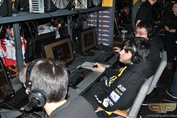 Лолеры из Dignitas
